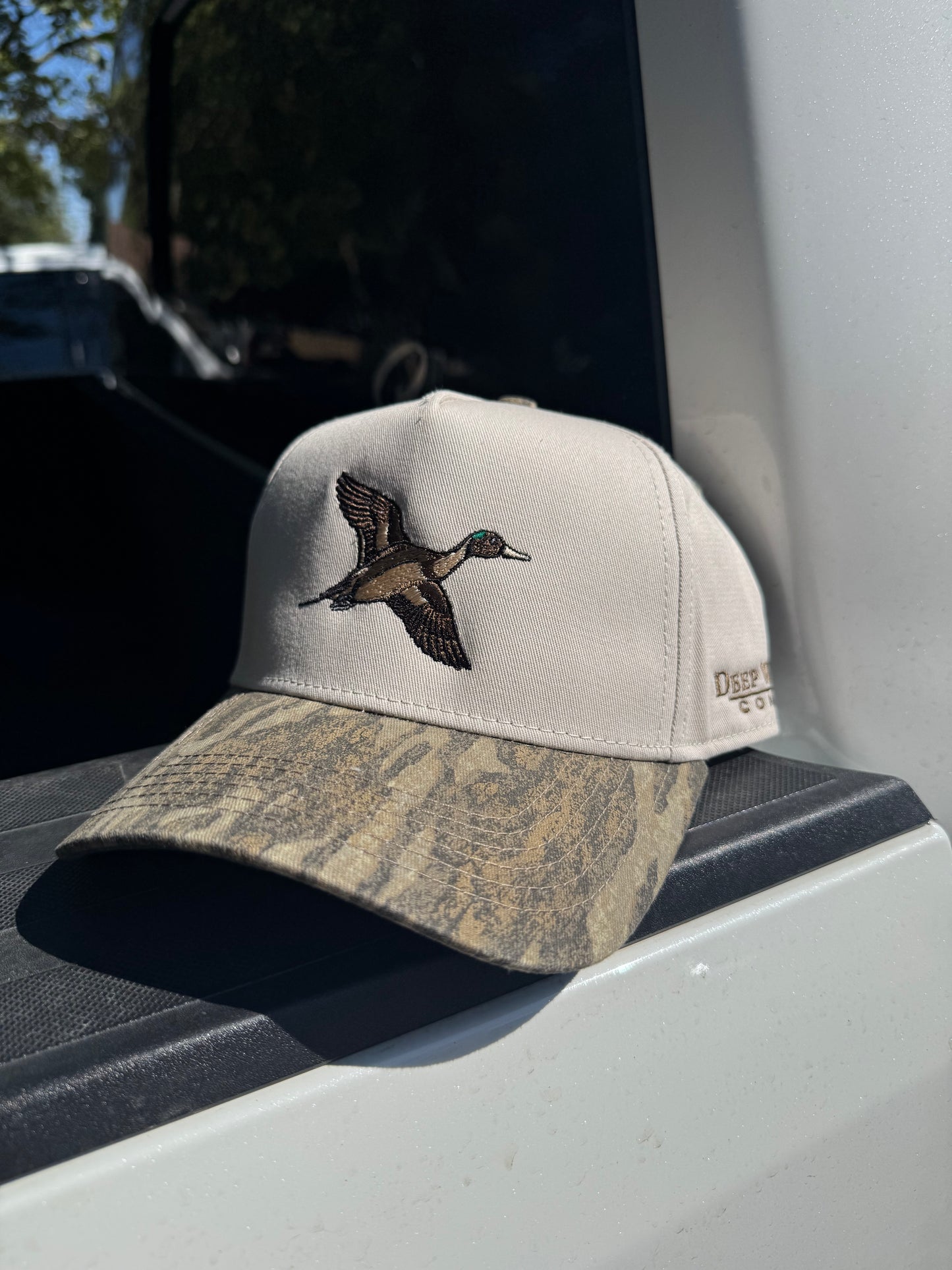 Pintail | Easy 5