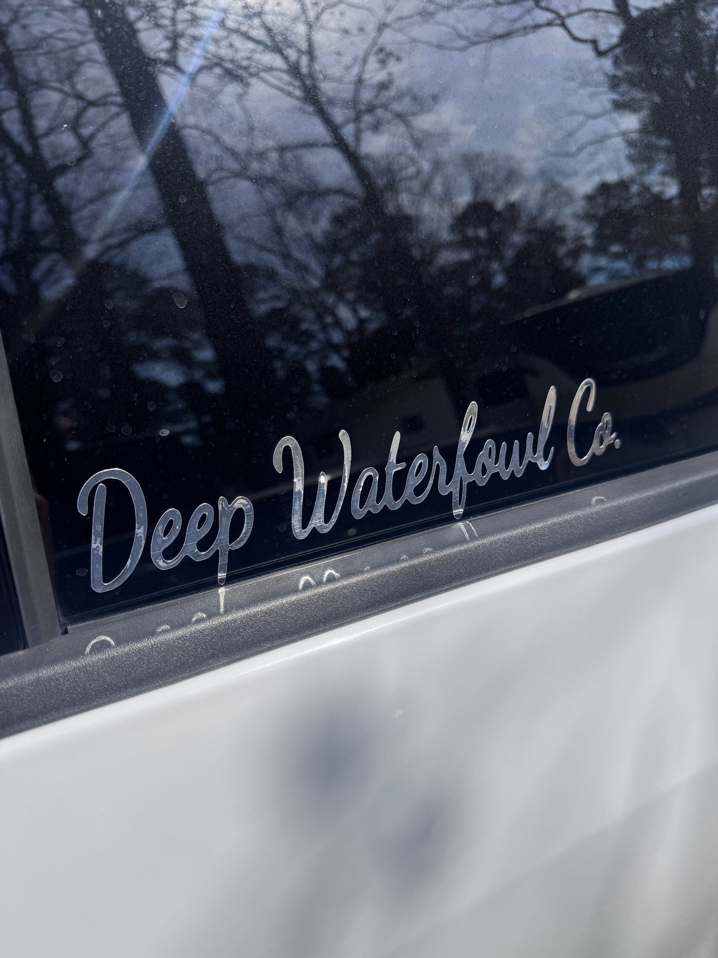 10" DWC | DECAL